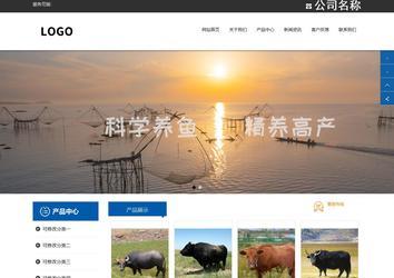 响应式成品案例站No:812