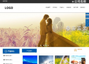 响应式成品案例站No:812