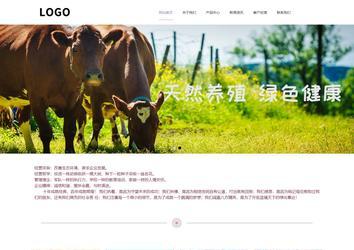 响应式成品案例站No:813