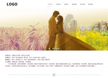 响应式成品案例站No:813