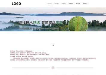 响应式成品案例站No:813