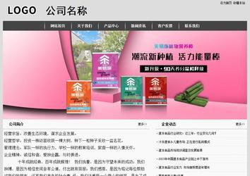 经济型成品案例站No:8137