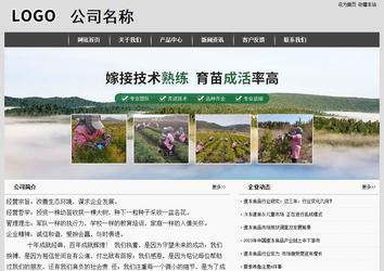 经济型成品案例站No:8137