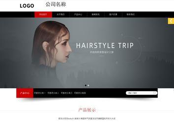 响应式成品案例站No:815