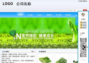 商务型成品案例站No:8153