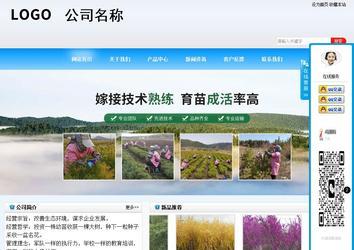 商务型成品案例站No:8153