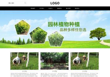 响应式成品案例站No:816