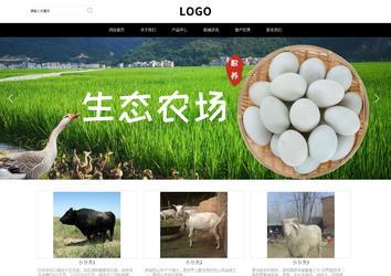 响应式成品案例站No:816