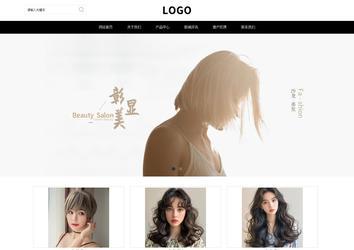 响应式成品案例站No:816