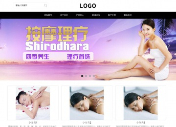 响应式成品案例站No:816