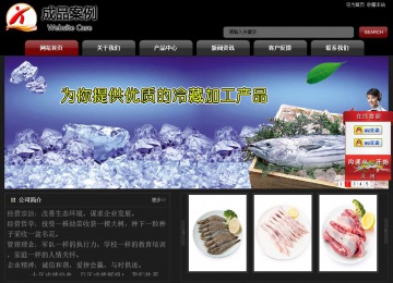 经济型成品案例No:8160