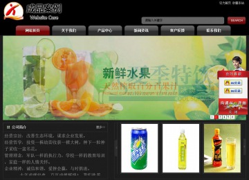 经济型成品案例No:8160