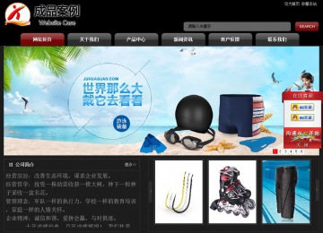 经济型成品案例No:8160