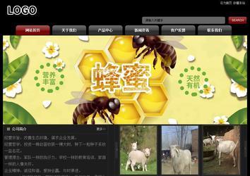 经济型成品案例No:8160