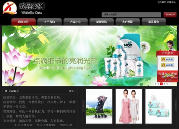 经济型成品案例No:8160