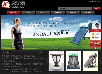 经济型成品案例No:8160