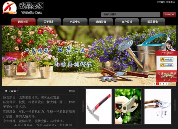 经济型成品案例No:8160