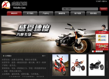 经济型成品案例No:8160