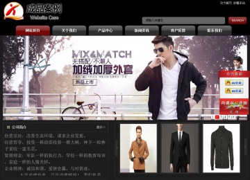 经济型成品案例No:8160