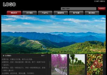 经济型成品案例No:8160