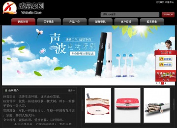 经济型成品案例No:8160