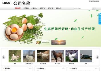 商务型成品案例站No:8167