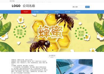 响应式成品案例站No:817