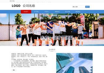 响应式成品案例站No:817