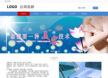 响应式成品案例站No:817