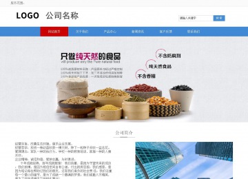 响应式成品案例站No:817