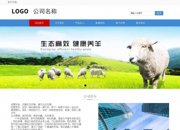 响应式成品案例站No:817