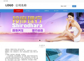 响应式成品案例站No:817