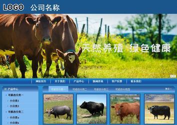 商务型成品案例站No:8190