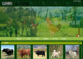 商务型成品案例站No:8197