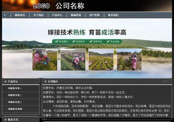 经济型成品案例站No:8207