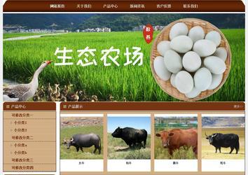 经济型成品案例站No:8234