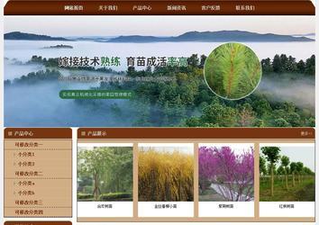 经济型成品案例站No:8234