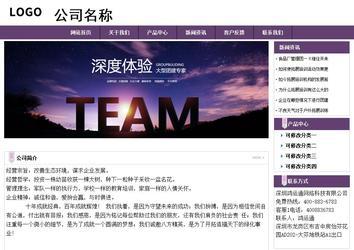 经济型成品案例站No:8236