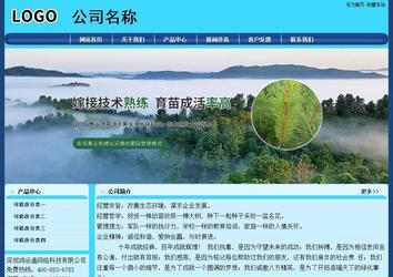 经济型成品案例站No:8238