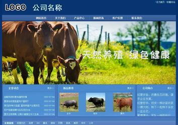 经济型成品案例站No:8245