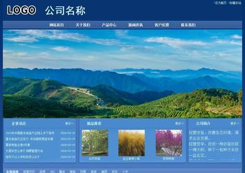 经济型成品案例站No:8245