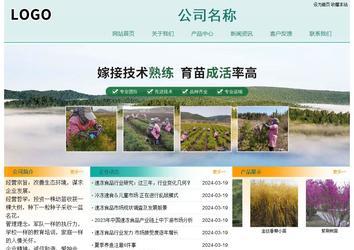 经济型成品案例站No:8247