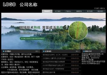 经济型成品案例站No:8248