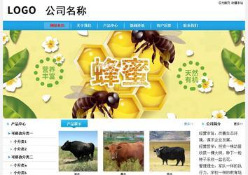 经济型成品案例站No:8249