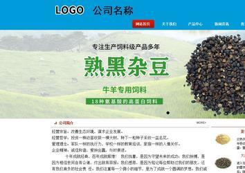 商务型成品案例站No:8251