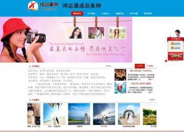 商务型成品案例站No:8251