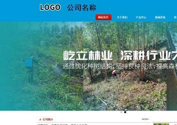 商务型成品案例站No:8251