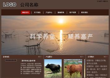 经济型成品案例站No:8255