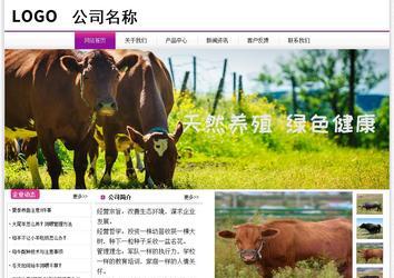 经济型成品案例站No:8259