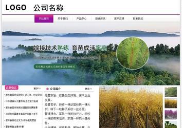 经济型成品案例站No:8259